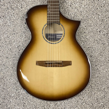 Ibanez AEW C-300 N Klassikgitarre