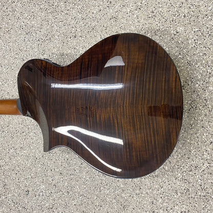 Ibanez AEW C-300 N Klassikgitarre
