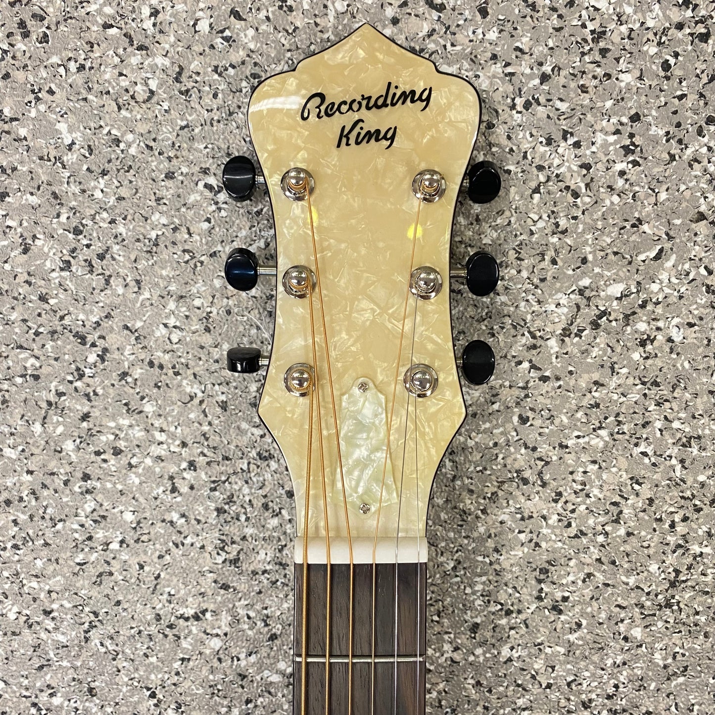 RECORDING KING RR-41-E VS Resonator Gitarre mit Tonabnehmer