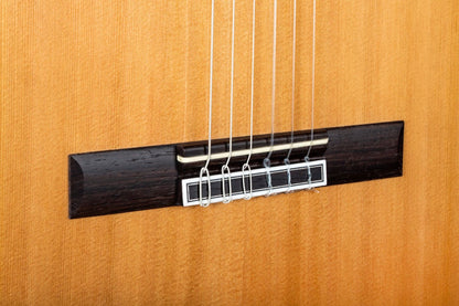 GUITARRAS CAMPS A-6 Spruce Gitarre Fichte/Palisander