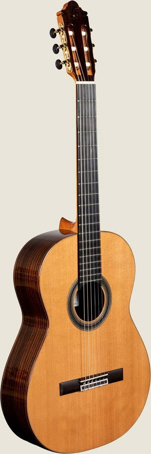 GUITARRAS CAMPS A-6 Spruce Gitarre Fichte/Palisander