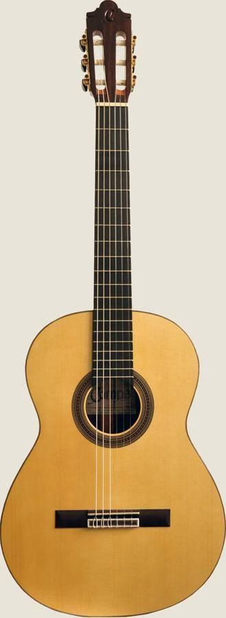 GUITARRAS CAMPS A-6 Spruce Gitarre Fichte/Palisander